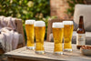 Pilsner Beer Glasses in a styled setting