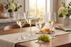 White Wine Glasses Prestige in a styled setting
