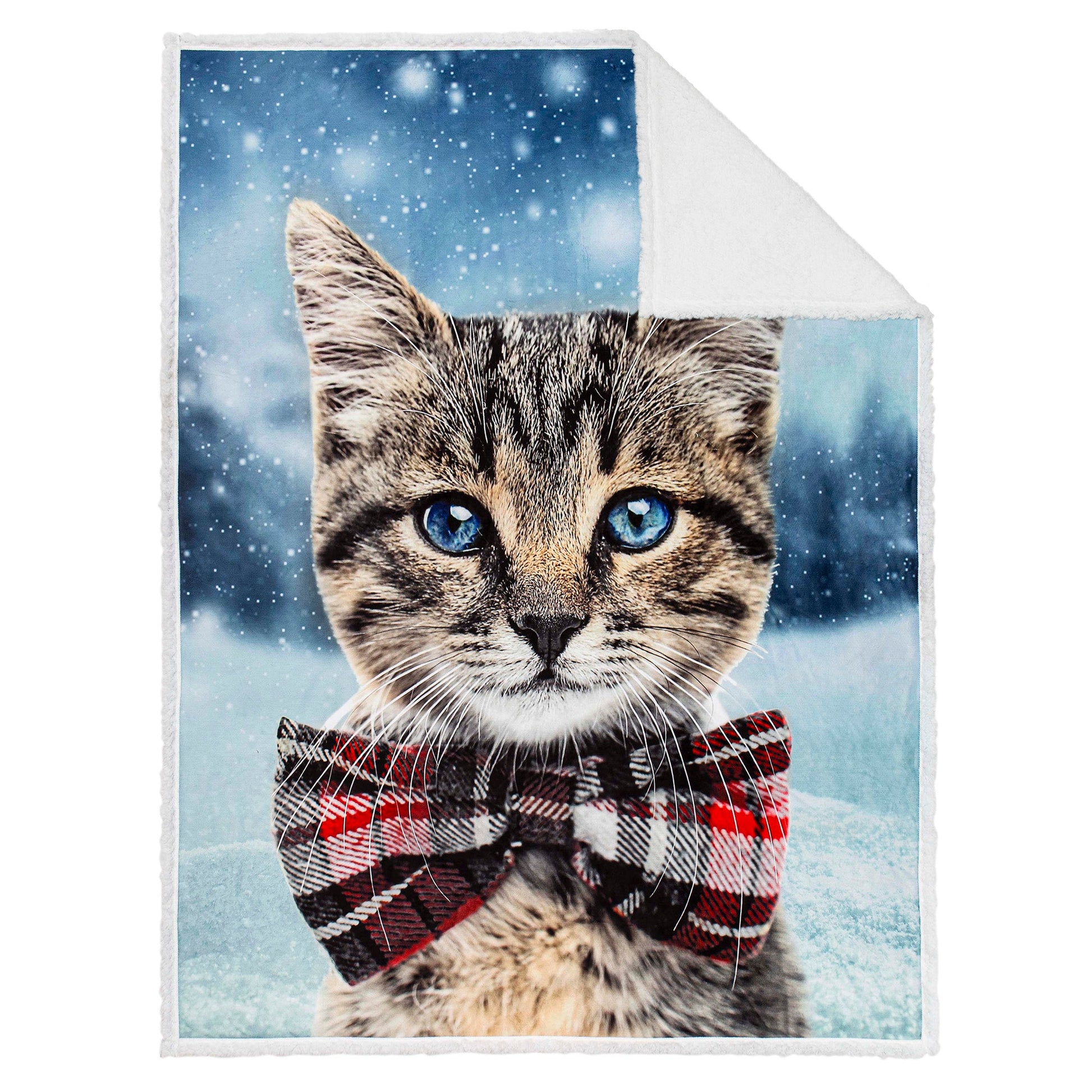 Super Soft Photoreal Reversible Blanket Throw Sherpa Home Decor Bedding 48X60 Bowtie Cat - DecoElegance - Blanket Throw Home Bedding